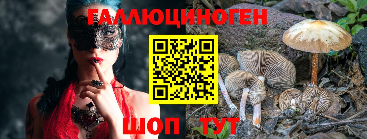 Тосно  Псилоцибиновые грибы мухоморы  Вход с VPN 