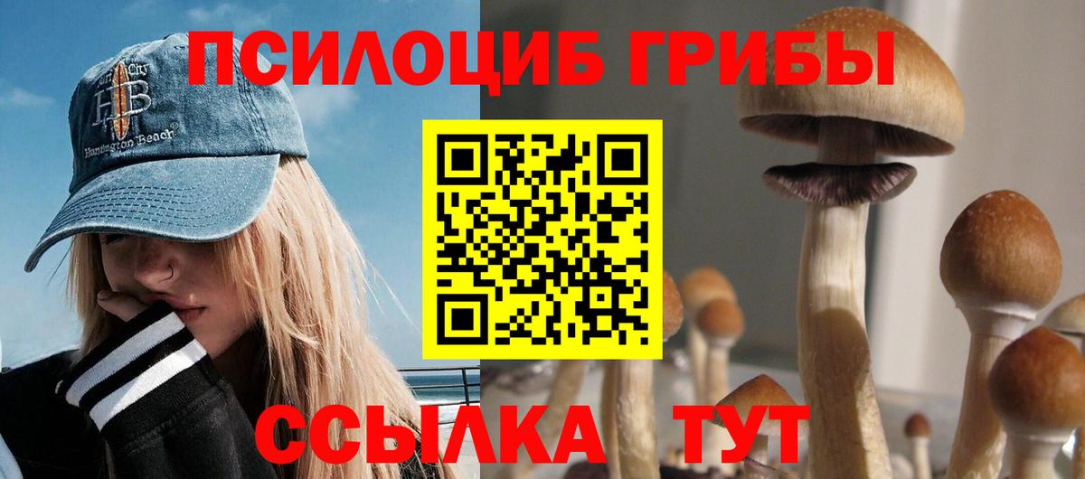 Галлюциногенные грибы Cubensis Тосно